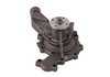 LIGHT DUTY WATER PUMPS - image 4