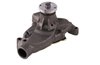 LIGHT DUTY WATER PUMPS - image 2