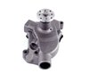 LIGHT DUTY WATER PUMPS - image 3
