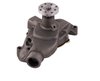 LIGHT DUTY WATER PUMPS - image 4