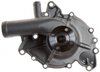 LIGHT DUTY WATER PUMPS - image 2