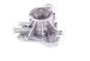 LIGHT DUTY WATER PUMPS - image 3