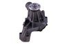 LIGHT DUTY WATER PUMPS - image 3