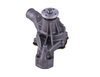 LIGHT DUTY WATER PUMPS - image 2