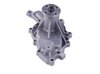 LIGHT DUTY WATER PUMPS - image 2