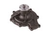 LIGHT DUTY WATER PUMPS - image 2