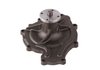 LIGHT DUTY WATER PUMPS - image 3