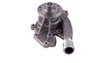 LIGHT DUTY WATER PUMPS - image 3