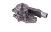 LIGHT DUTY WATER PUMPS - image 4