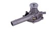 LIGHT DUTY WATER PUMPS - image 2
