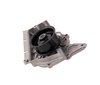 LIGHT DUTY WATER PUMPS - image 4