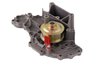 LIGHT DUTY WATER PUMPS - image 4