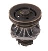 LIGHT DUTY WATER PUMPS - image 2