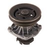 LIGHT DUTY WATER PUMPS - image 3