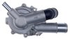LIGHT DUTY WATER PUMPS - image 3