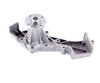 LIGHT DUTY WATER PUMPS - image 2