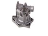 LIGHT DUTY WATER PUMPS - image 3