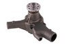 LIGHT DUTY WATER PUMPS - image 2