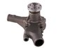 LIGHT DUTY WATER PUMPS - image 3