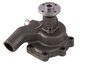 LIGHT DUTY WATER PUMPS - image 3