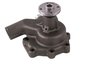 LIGHT DUTY WATER PUMPS - image 4