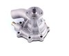 LIGHT DUTY WATER PUMPS - image 4
