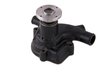 LIGHT DUTY WATER PUMPS - image 3