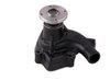 LIGHT DUTY WATER PUMPS - image 4