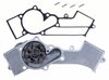 LIGHT DUTY WATER PUMPS - image 2