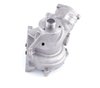 LIGHT DUTY WATER PUMPS - image 2