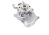 LIGHT DUTY WATER PUMPS - image 3