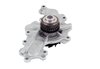 LIGHT DUTY WATER PUMPS - image 3