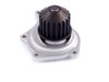 LIGHT DUTY WATER PUMPS - image 3