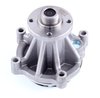 LIGHT DUTY WATER PUMPS - image 2
