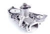 LIGHT DUTY WATER PUMPS - image 3