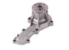 LIGHT DUTY WATER PUMPS - image 2