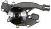 LIGHT DUTY WATER PUMPS - image 3