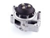 LIGHT DUTY WATER PUMPS - image 3