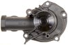 LIGHT DUTY WATER PUMPS - image 2