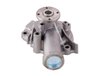 LIGHT DUTY WATER PUMPS - image 4