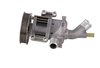 LIGHT DUTY WATER PUMPS - image 2
