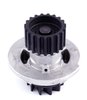 LIGHT DUTY WATER PUMPS - image 2