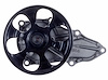LIGHT DUTY WATER PUMPS - image 1