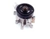 LIGHT DUTY WATER PUMPS - image 3