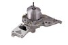 LIGHT DUTY WATER PUMPS - image 2