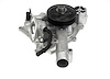 LIGHT DUTY WATER PUMPS - image 1