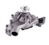 LIGHT DUTY WATER PUMPS - image 4