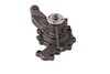 LIGHT DUTY WATER PUMPS - image 2
