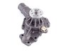 LIGHT DUTY WATER PUMPS - image 3