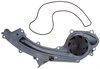 LIGHT DUTY WATER PUMPS - image 2